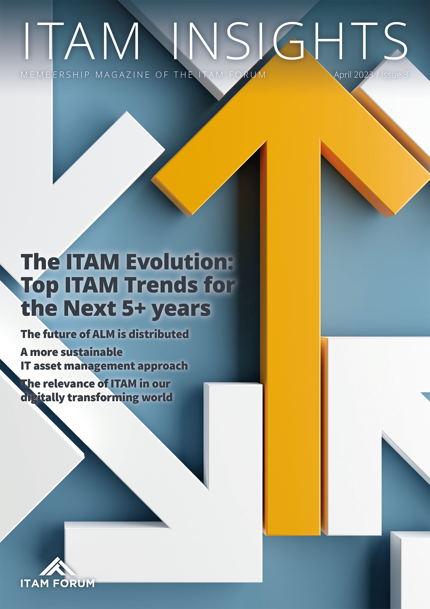 ITAM Insights Issue 3