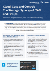Flexera Cloud Report Summary 06.25 (3)